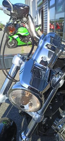 XL 1200 CUSTOM