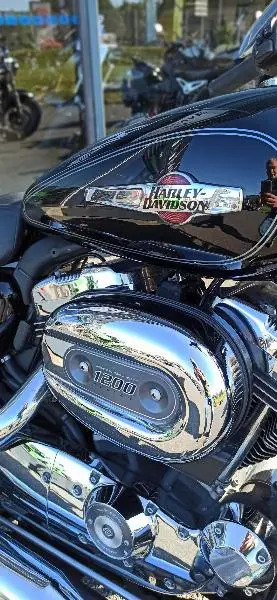 XL 1200 CUSTOM