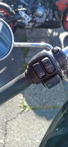 XL 1200 CUSTOM