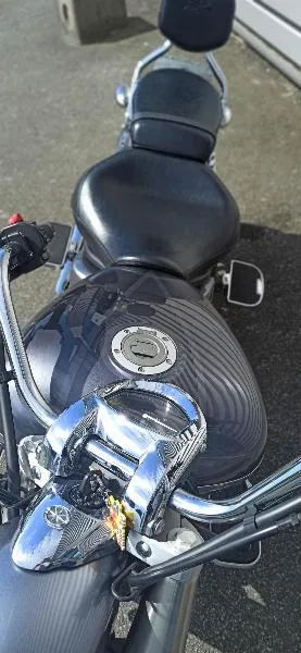 XVS 1300