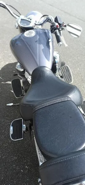 XVS 1300