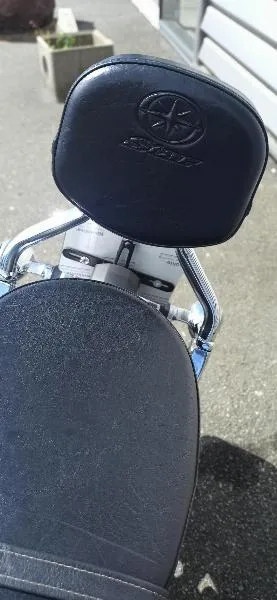 XVS 1300