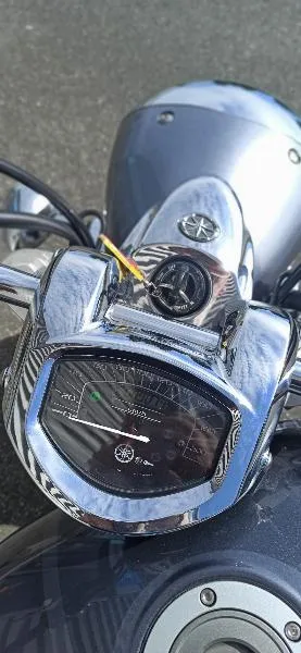 XVS 1300