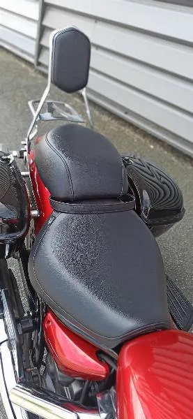 XVS 950