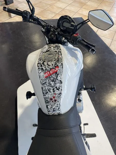 FZ6 