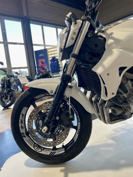 FZ6 