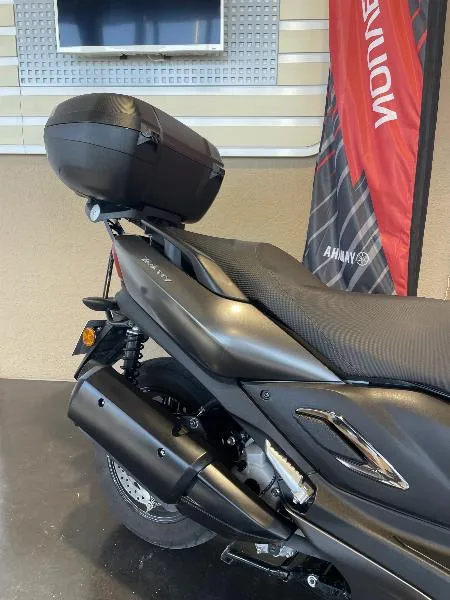 TRICITY 300