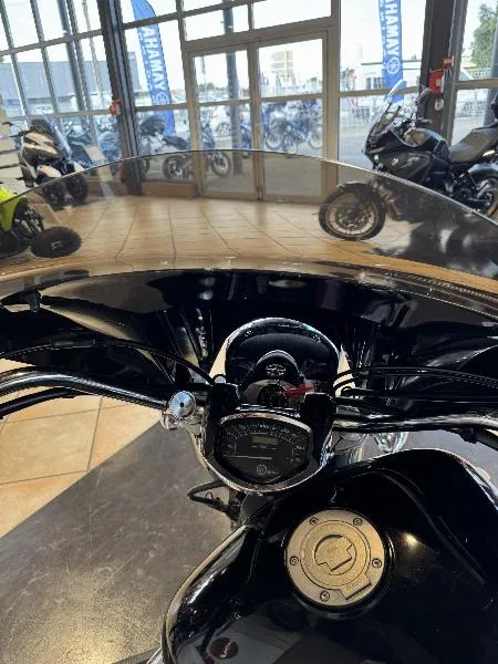 XVS 1300