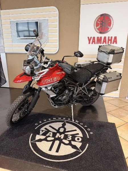 TIGER 800 XCA