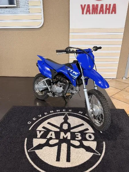 TTR110