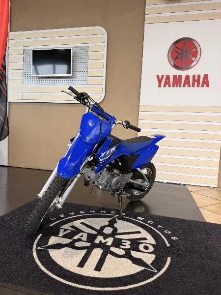TTR110