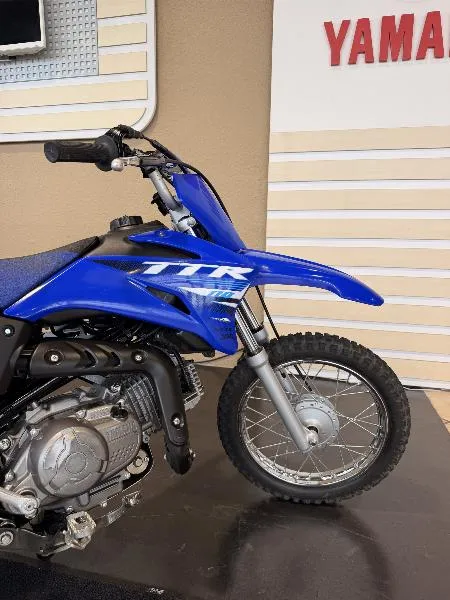 TTR110