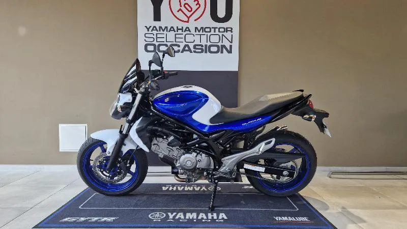GLADIUS 650