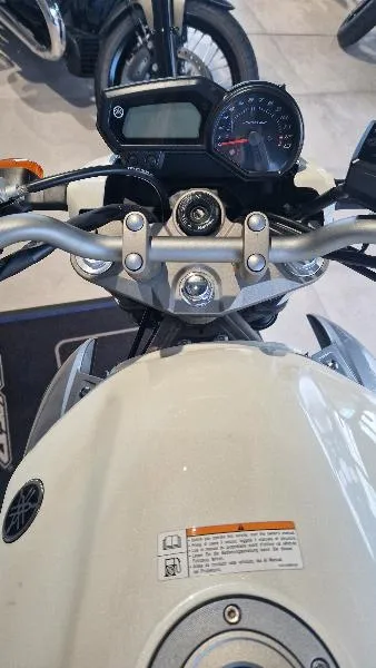 XJ6N