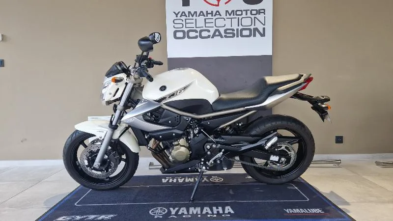XJ6N