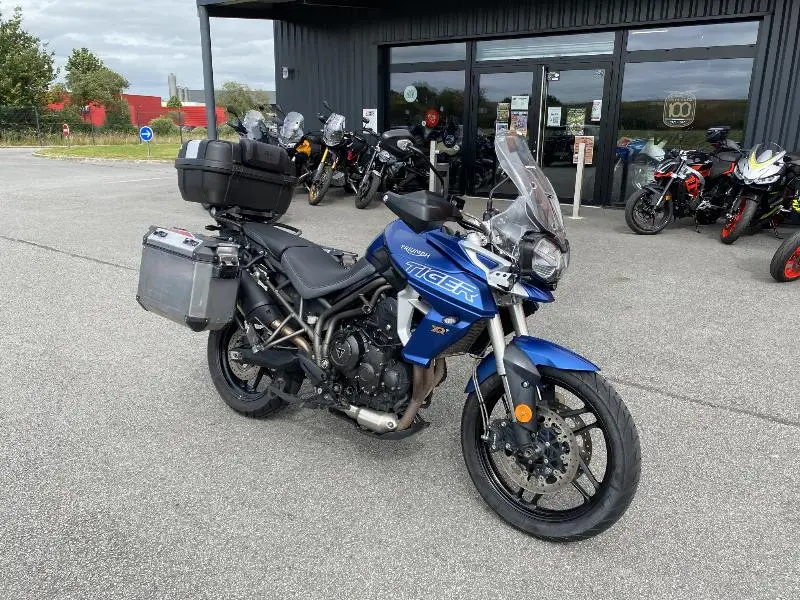 TIGER 800 XRT