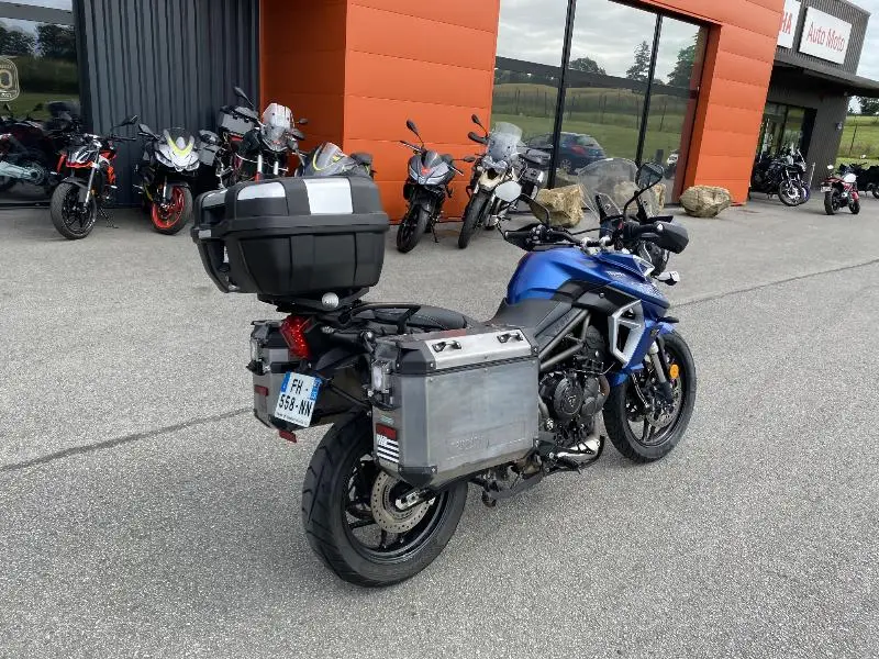 TIGER 800 XRT