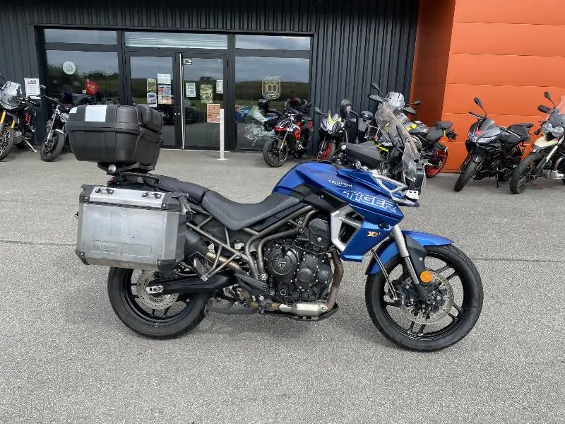 TIGER 800 XRT