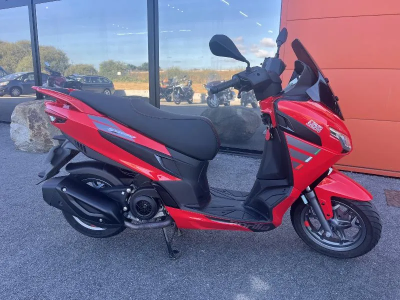 SXR 50