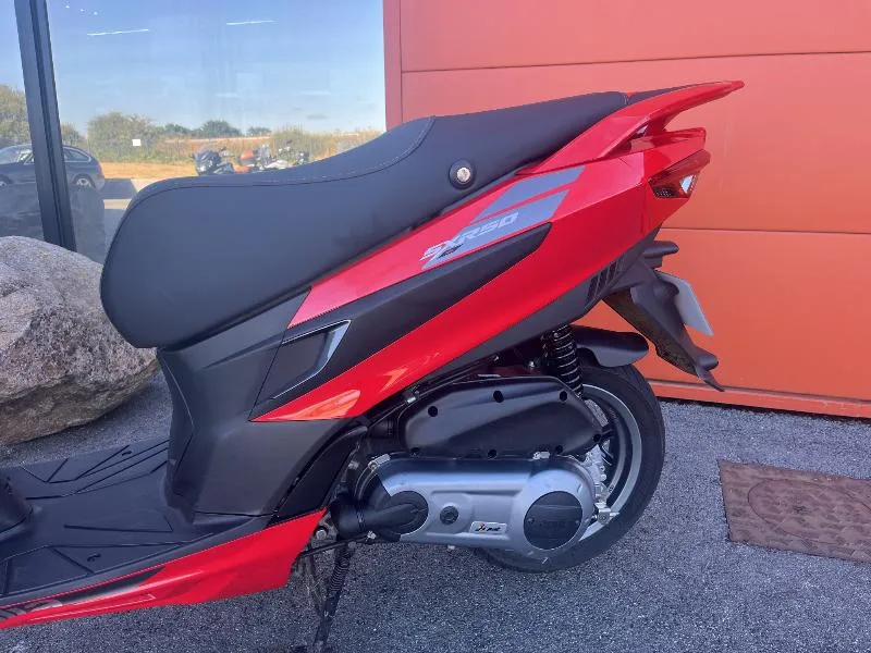 SXR 50