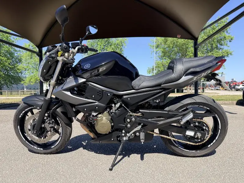 XJ6N