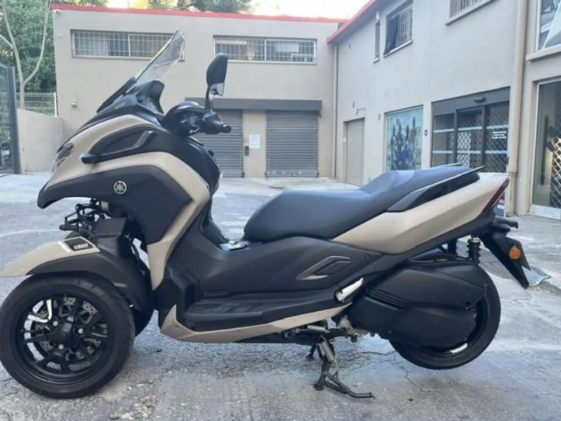 TRICITY 300