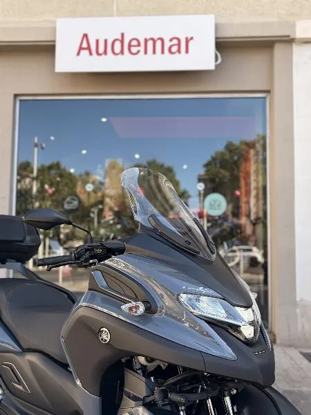 TRICITY 300