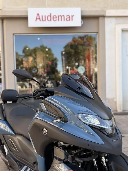 TRICITY 300