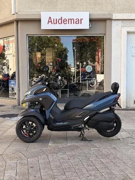 TRICITY 300