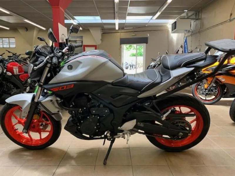MT03 2019