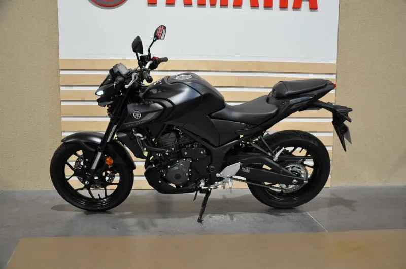 MT03 300
