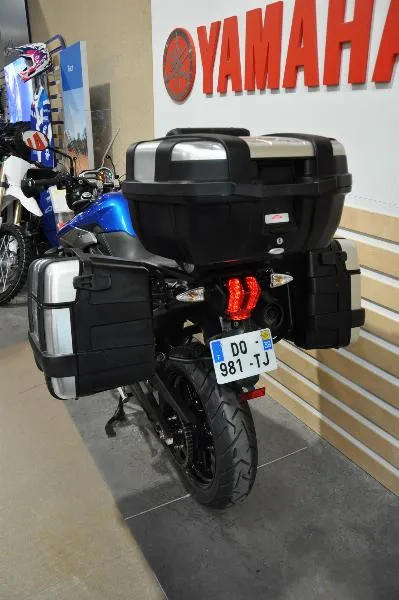 TIGER 800 XRX