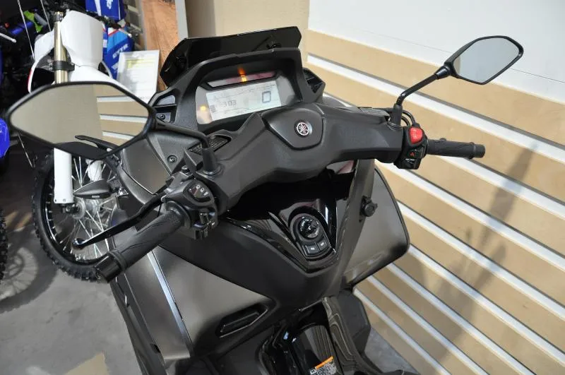 TRICITY 300
