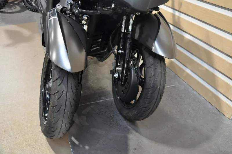 TRICITY 300