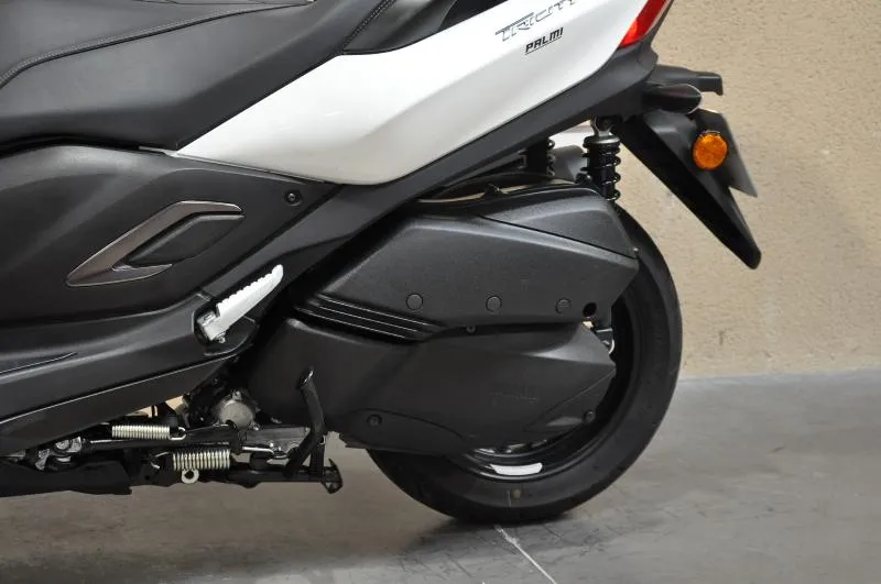 TRICITY 300