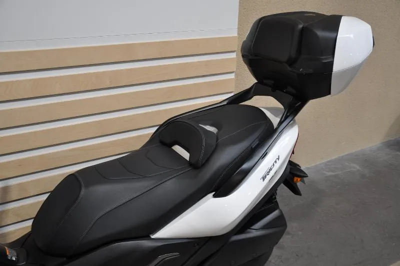 TRICITY 300