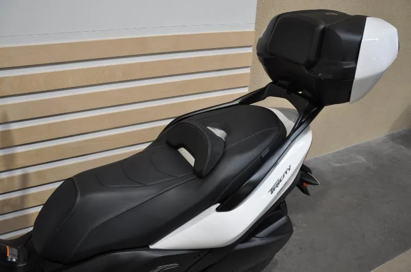 TRICITY 300