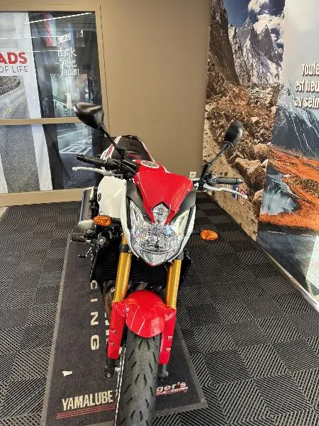 FZ8