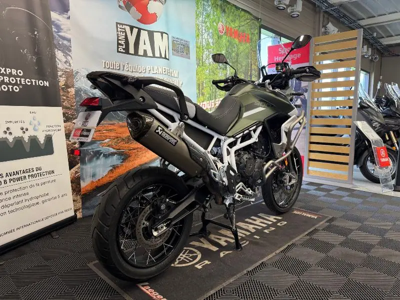 TIGER 900 RALLY PRO