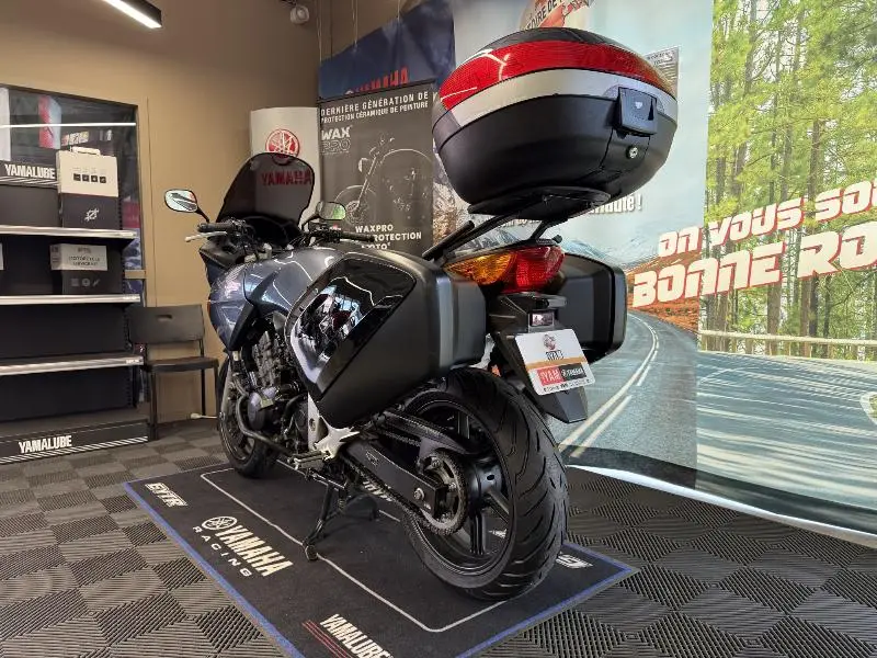 CBF 600 S