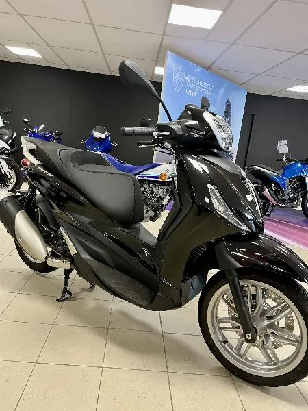 BEVERLY 300