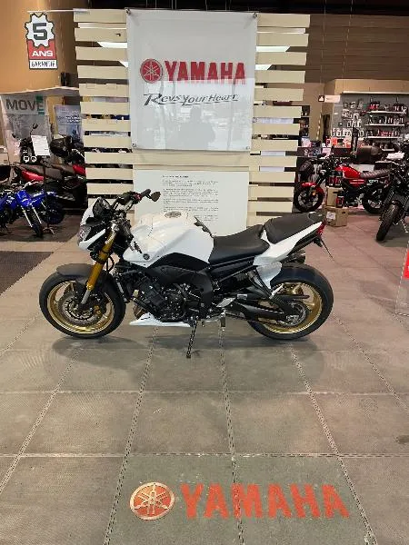 FZ8