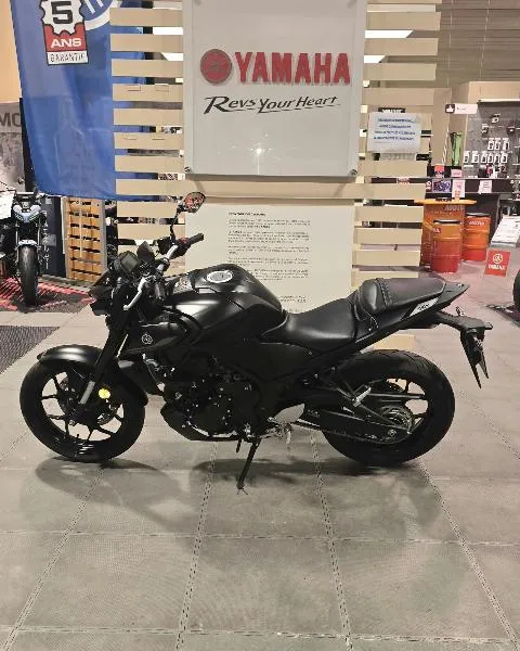 MT03