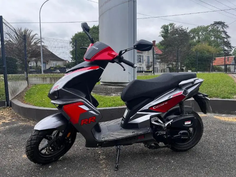 CAVARO 50 2025