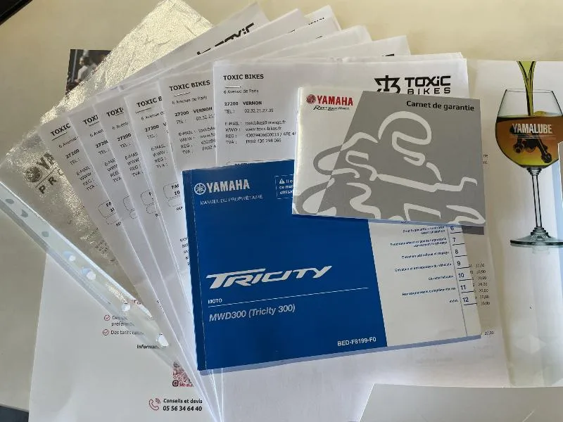 TRICITY 300