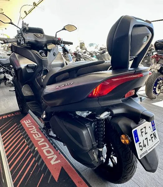 TRICITY 300