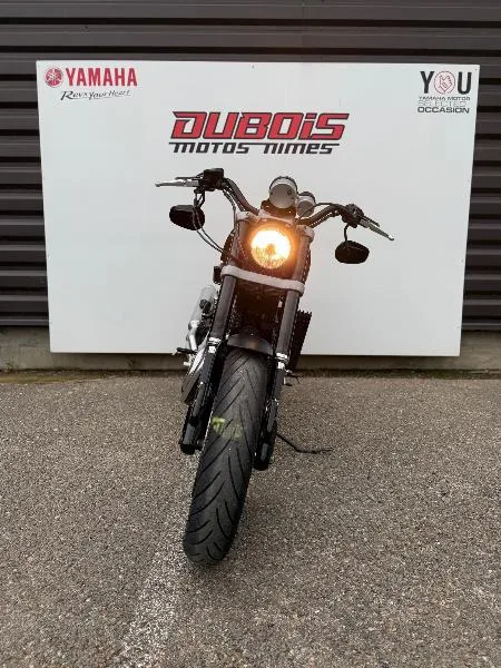 SPORTSTER XR1200