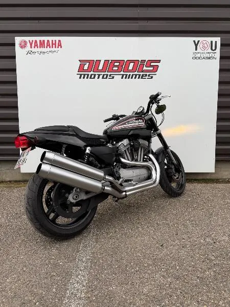 SPORTSTER XR1200