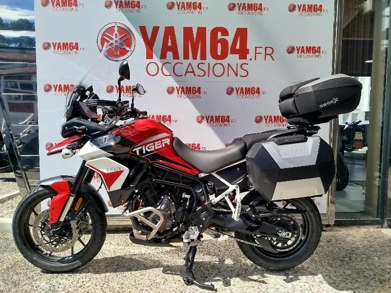 TIGER 900 GT ARAGON EDITION