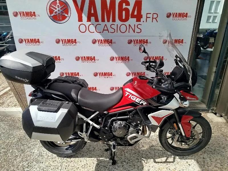 TIGER 900 GT ARAGON EDITION